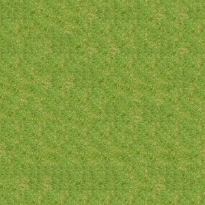 ModernGrass