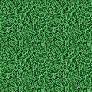 ModernGrass