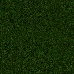 草皮地面-ID:753526936