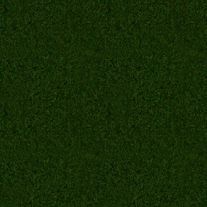 草皮地面-ID:139817953