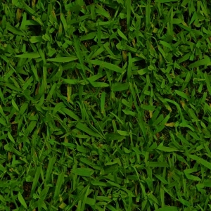 ModernGrass