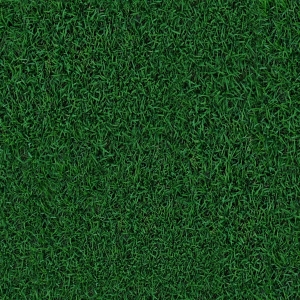 草皮地面-ID:316062938