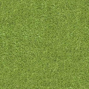 ModernGrass