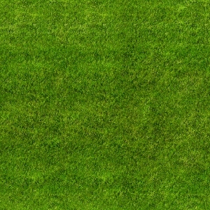 ModernGrass
