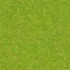 草皮地面-ID:393069034