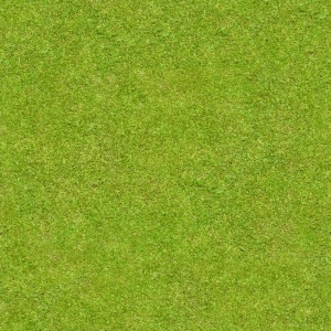ModernGrass