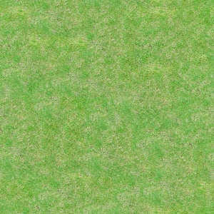草皮地面-ID:671504979