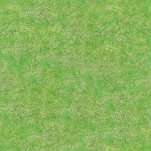 ModernGrass