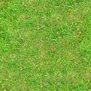 ModernGrass