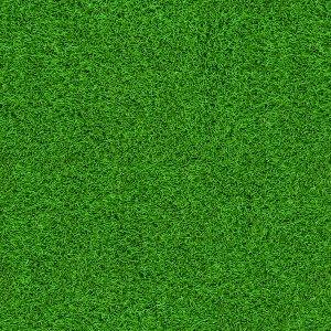 草皮地面-ID:904839045