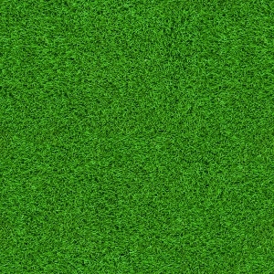 ModernGrass