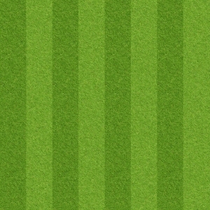 ModernGrass