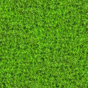ModernGrass
