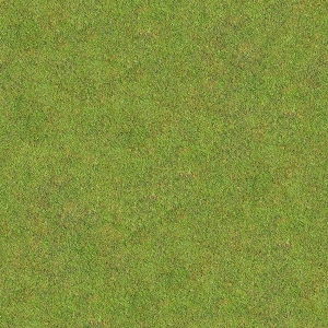 草皮地面-ID:277229071