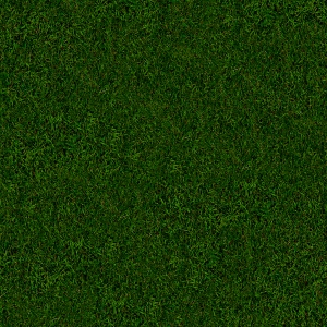 草皮地面-ID:366117957