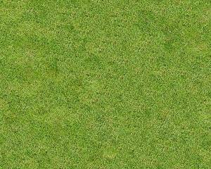 ModernGrass