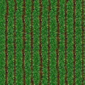 草皮地面-ID:986763955