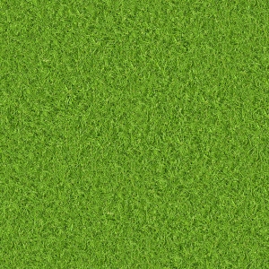草皮地面-ID:162683018