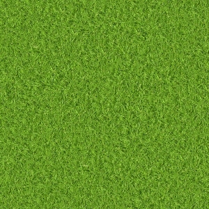 ModernGrass