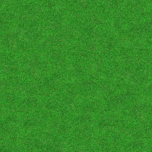 草皮地面-ID:242064955