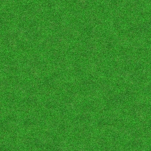 ModernGrass