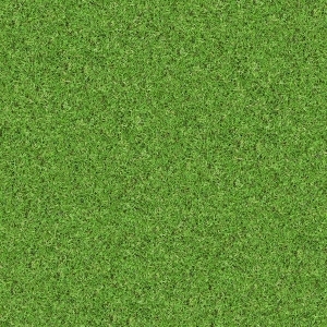 ModernGrass