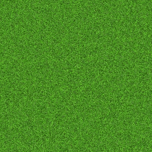 草皮地面-ID:503052955