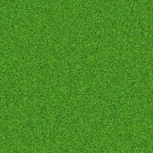 ModernGrass