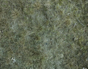 枯草皮地面-ID:727747927