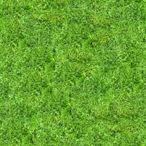 ModernGrass