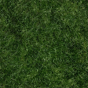 ModernGrass