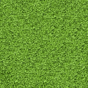ModernGrass