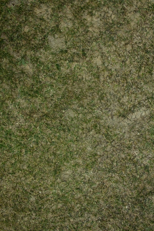 草皮地面-ID:169966947