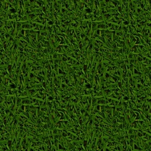 ModernGrass