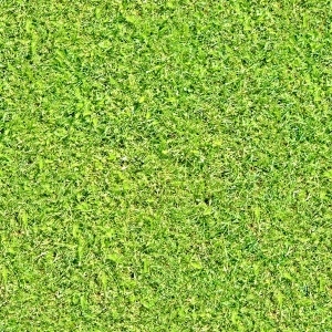 ModernGrass