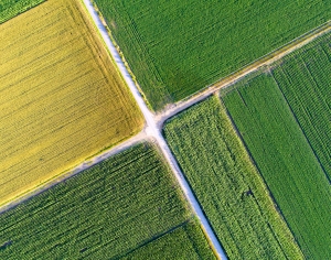 绿色田地贴图-ID:421375998