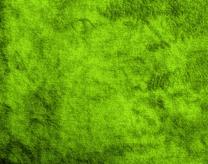 草皮树林-ID:752712979