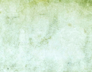 草皮地面-ID:377509696