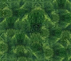 草皮树林-ID:907533884