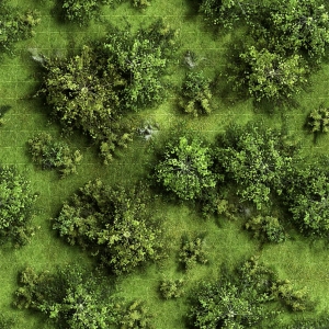 草皮树林-ID:973360068