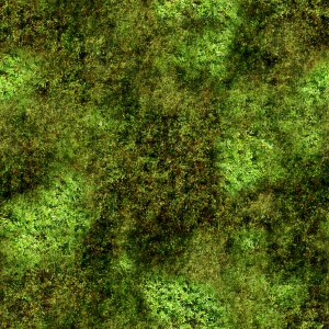 草皮树林-ID:476948029