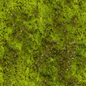 草皮树林-ID:124499086