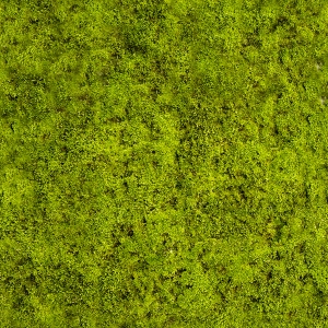 草皮树林-ID:358706009
