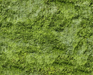 草皮树林-ID:425153028