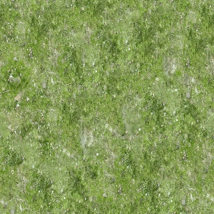 草皮树林-ID:541574006
