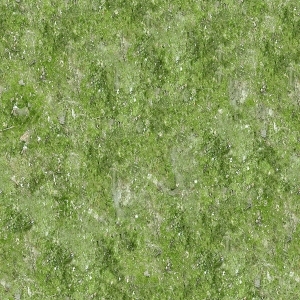 ModernGrass