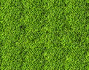 草皮树林-ID:415446046
