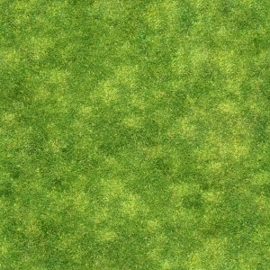 ModernGrass