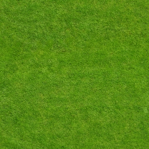 草皮树林-ID:352523092