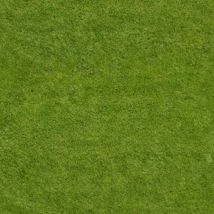草皮树林-ID:471716881